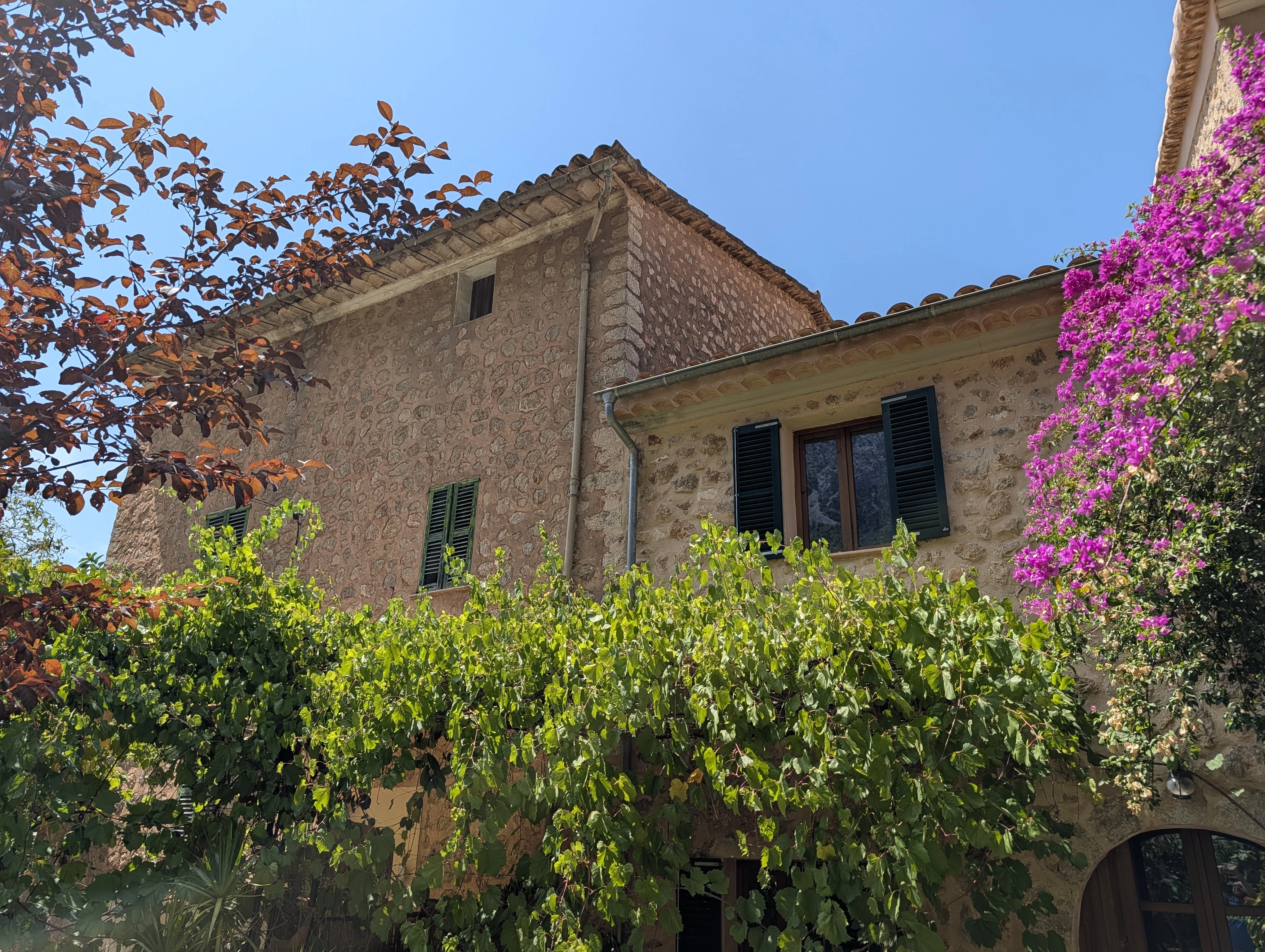 The two stone houses of the estate, with bougainvillea and the Serra de Tramuntana mountains